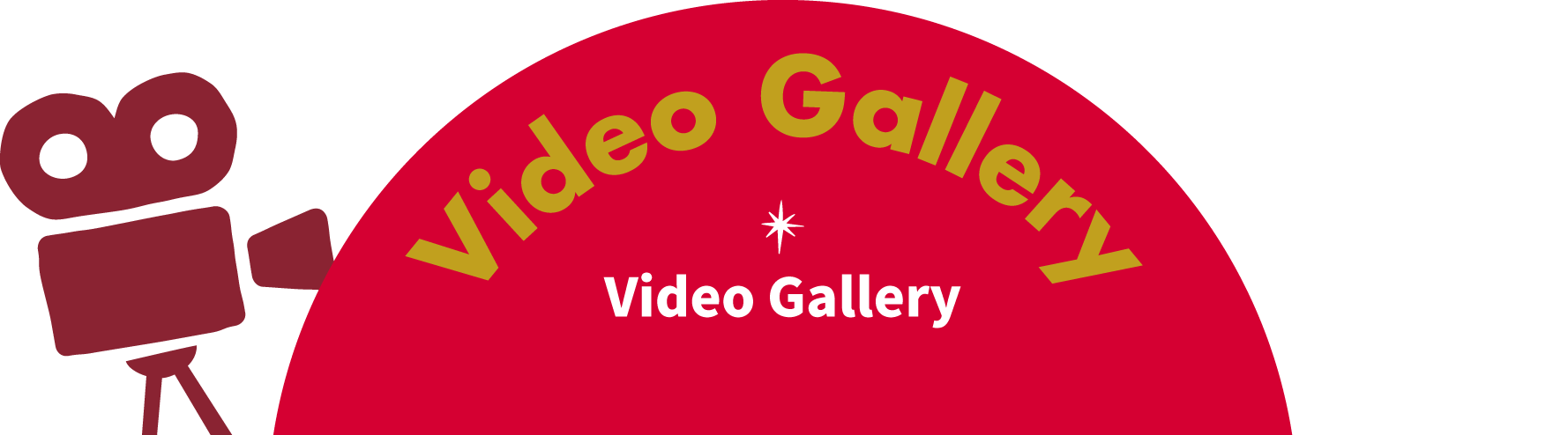 Video Gallery